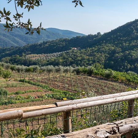 فيلا Poggio Al Mandorlo غريفي ان شنتي المظهر الخارجي الصورة